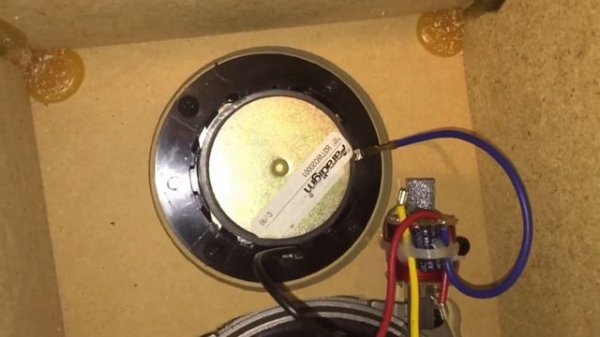 Replacing A Tweeter -Paradigm Titan v.3 Speakers