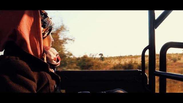 Kruger National Park Safari - The African Wildlife смотреть онлайн