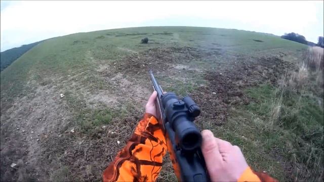 battue exceptionnel aux sangliers, 4 sangliers tuer au même poste!! 4 wild boar , browning maral смотреть онлайн