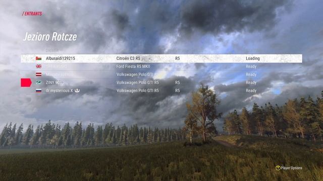 VW POLO/POLAND/CE TUNE/THRUSTMASTER TS-XW/DIRT RALLY 2.0. смотреть онлайн