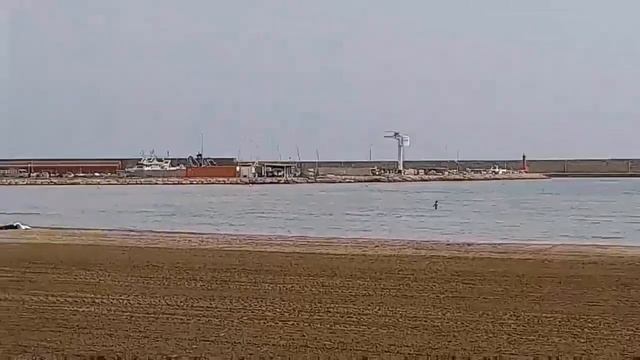 Красиво жить не запретишь! смотреть онлайн