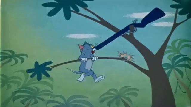 Tom and Jerry - Sorry Safari #1 смотреть онлайн