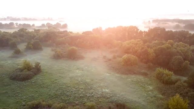 Мужской коварный замысел: как муж завоевал квартиру и машину жены под предлогом извинений смотреть онлайн