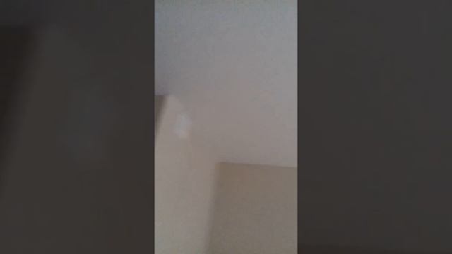 1ком. М.Новокосино, 27м. Тел.8-925-115-1200 смотреть онлайн