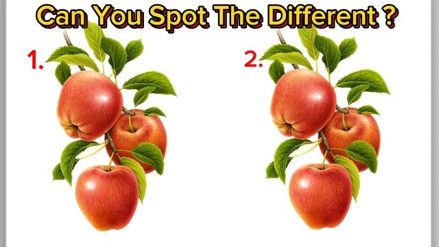 Can You Spot The Different Of Cherries, Apples, Oranges Fruit #different #findoddoneout #fruits смотреть онлайн