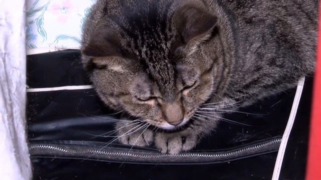 Free Repair, by Las Vegas Air Conditioning Inc. смотреть онлайн