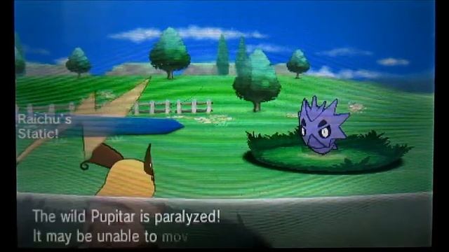 Shiny Pupitar in Friend Safari! (Pokemon X) смотреть онлайн