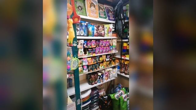 Зоомагазин "Zooterra" Иркутск смотреть онлайн