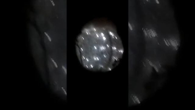 Красивые манеты в деревне МАРУСИНО смотреть онлайн