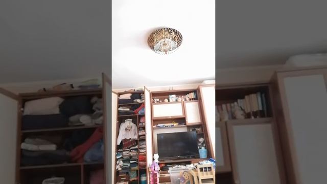 Полина на карантине смотреть онлайн