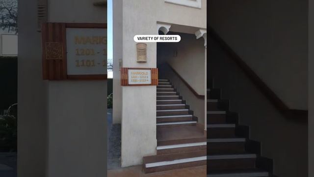 Have you been in the city of peace? смотреть онлайн