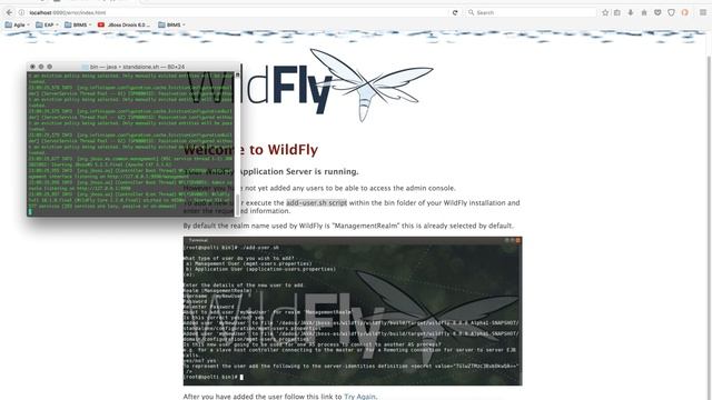 Get Wildfly/JBoss up and running in less than 10 minutes смотреть онлайн