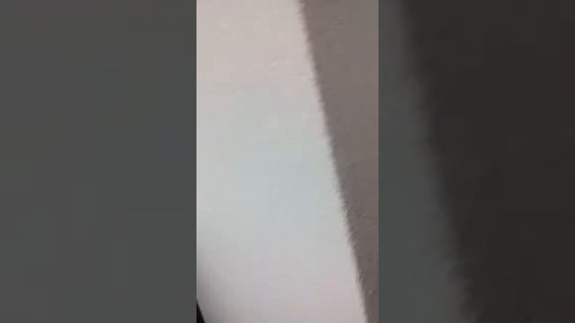 Шоу-рум на ВДНХ 2часть