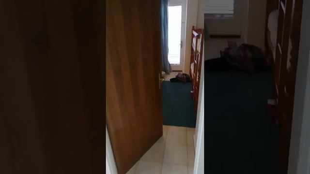 Roc Portonova apartments, calvia, palma nova, mallorca spain смотреть онлайн