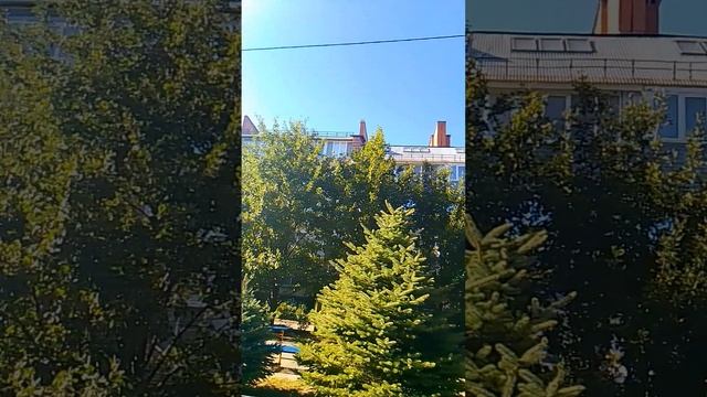 Необычные дома по Набережной в Волжском. смотреть онлайн