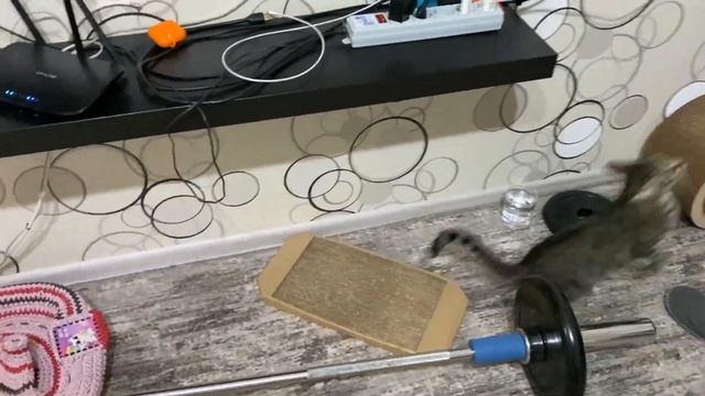 Мы с дочкой нашли котёнка на улице. Не смогли пройти мимо такой милахи смотреть онлайн