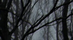 Subliminal | Красота ведьмы #subliminal #саблиминал #ведьма