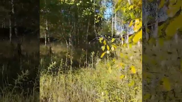 Планировка дома в деревне Петрухино