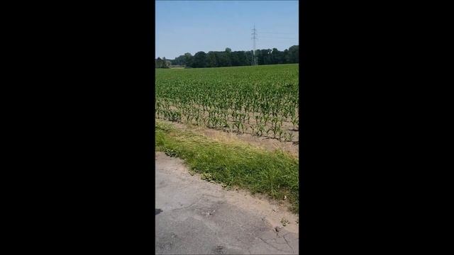 Германия Прогулка на великах смотреть онлайн