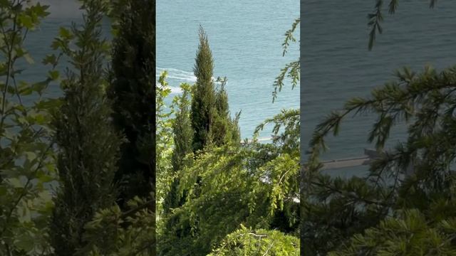 Как прекрасен этот мир, посмотрите! Это Сочи | Краснодарский Край. #недвижимость #купить #квартира смотреть онлайн