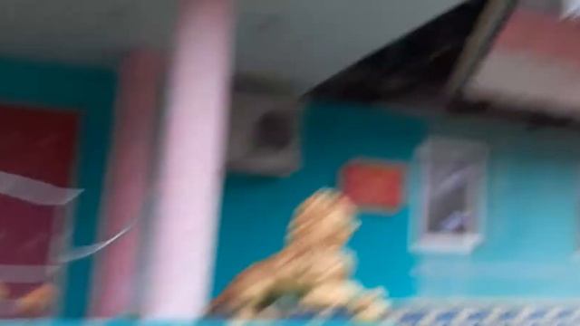 Донецкий Санкт-Петербург Гуляю и болтаю Холодно - 1 смотреть онлайн