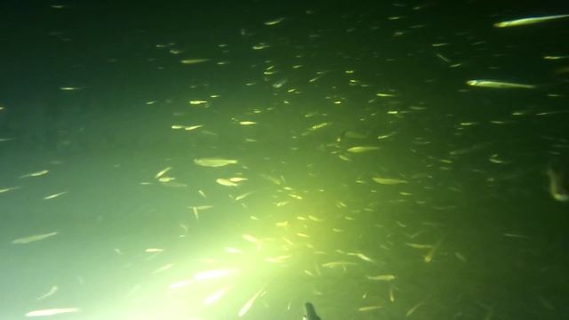 Подводный мир смотреть онлайн