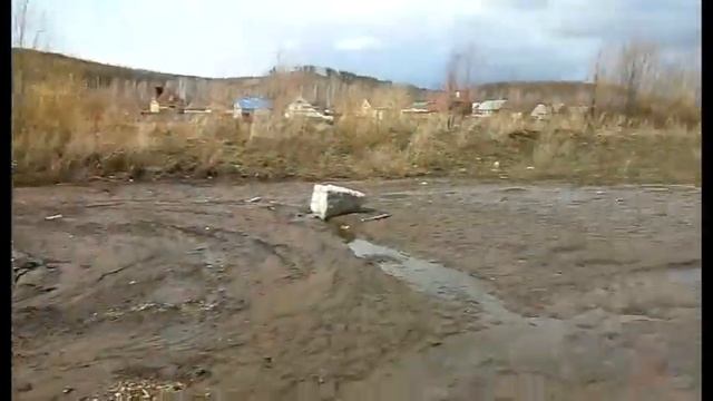 Рубрика "Мобильный репортёр" по материалам телезрителей смотреть онлайн