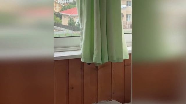 Жители дома № 252 на улице Чкалова столкнулись с нашествием мышей. смотреть онлайн