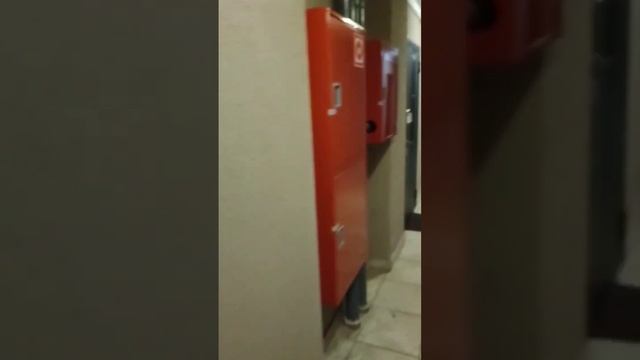 Как Искать Покупателя на Квартиру: Поквартирный Обход смотреть онлайн