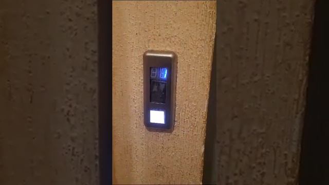 Сдача квартиры в Геленджике, улица Курортная 14а смотреть онлайн