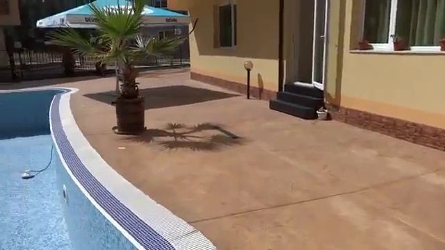 Комплекс 'Amadeus 19','Амадеус 19' г Солнечный Берег, Болгария смотреть онлайн