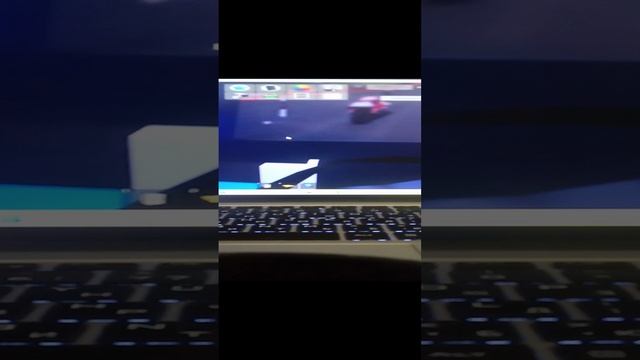 Утро в брук