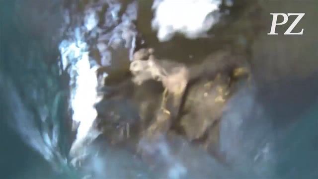 Palais Thermal: schön und erholsam zugleich смотреть онлайн