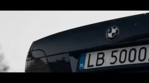 Гио Пика - СТАЯ