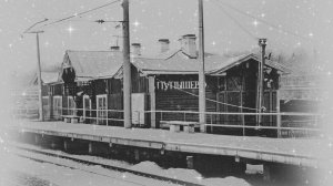 Путешествие в Пупышево