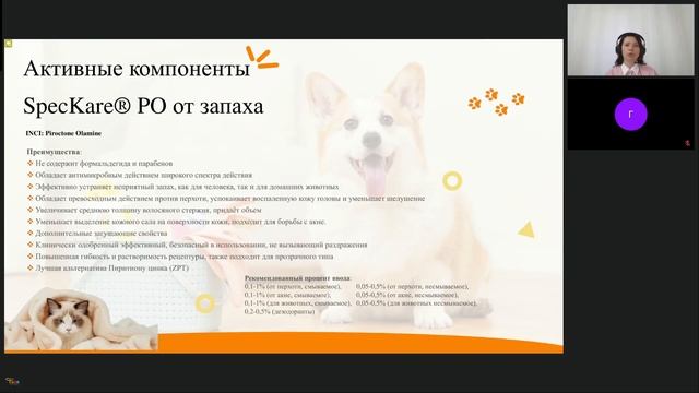 Вебинар: Чисто и пушисто. Ингредиенты косметики для животных смотреть онлайн