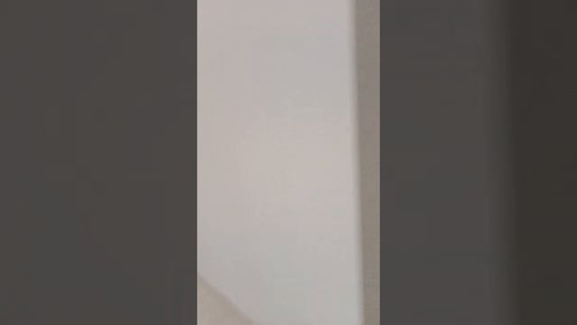 VID20211216132953 смотреть онлайн