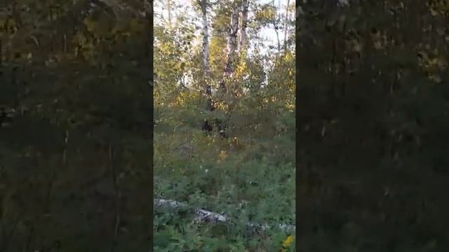 Ракитинка Омск