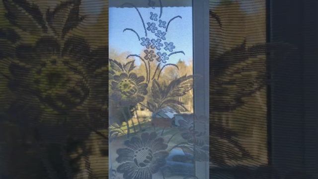 кладовка зал, вид из окна (продам квартиру д. Мощинки Смоленский район Смоленская область) смотреть онлайн