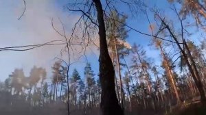 Змей-горыныч🦕