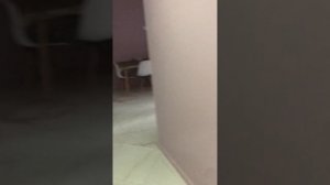 Квартира в г. Зеленоградске, Калининградской области. Посуточная аренда.