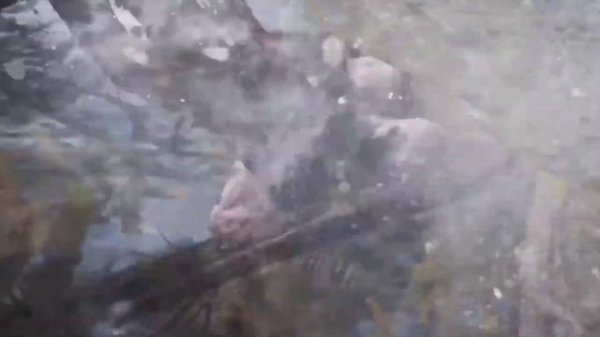 Top 10 Cloud Gaming Apps For Android in 2024