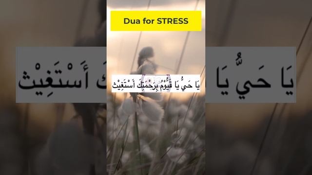 Dua For Stress and Difficulty - Дуа от стресса и трудностей смотреть онлайн