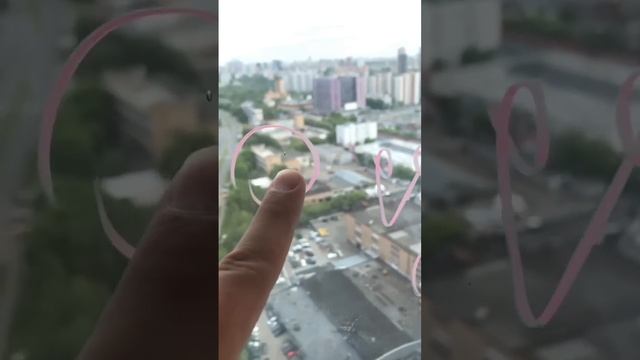 ПРО ПУЗЫРЬ смотреть онлайн