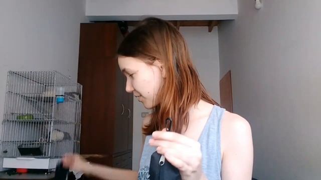 Подготовка к колледжу в Аргентине. Запись на предметы смотреть онлайн