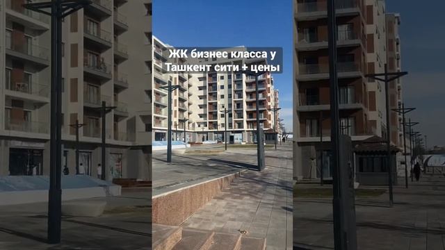 Новостройки в центре Ташкента: дорого, современно, красиво. Такие часто выбирают #релоканты #россия смотреть онлайн