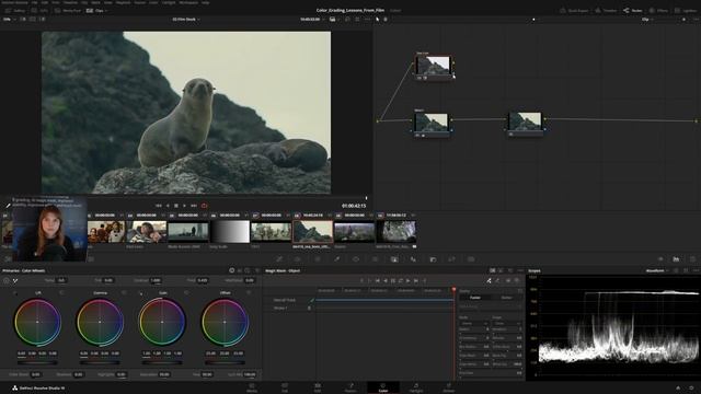 Color Grading Lessons from Classic Movies! - Daria Fissoun [ResolveCon '24 - Day 1] (HQ Upload) смотреть онлайн