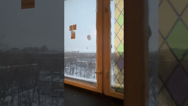 Квартира (ул. Дыбенко) смотреть онлайн