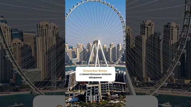 ТОП САМЫХ ДОРОГИХ РАЙОНОВ В ДУБАЕ 🤩 смотреть онлайн