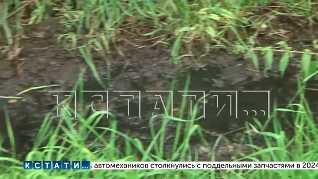 Многоквартирный дом в Богородске коммунальшики решили отрезать от канализации,но оставили водопрово смотреть онлайн